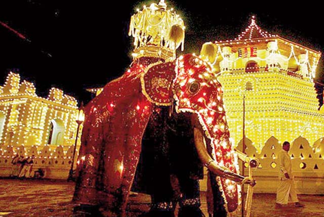 මහනුවර ඇසළ පෙරහැරට තොරතුරු කළමනාකරණ පද්ධතියක්