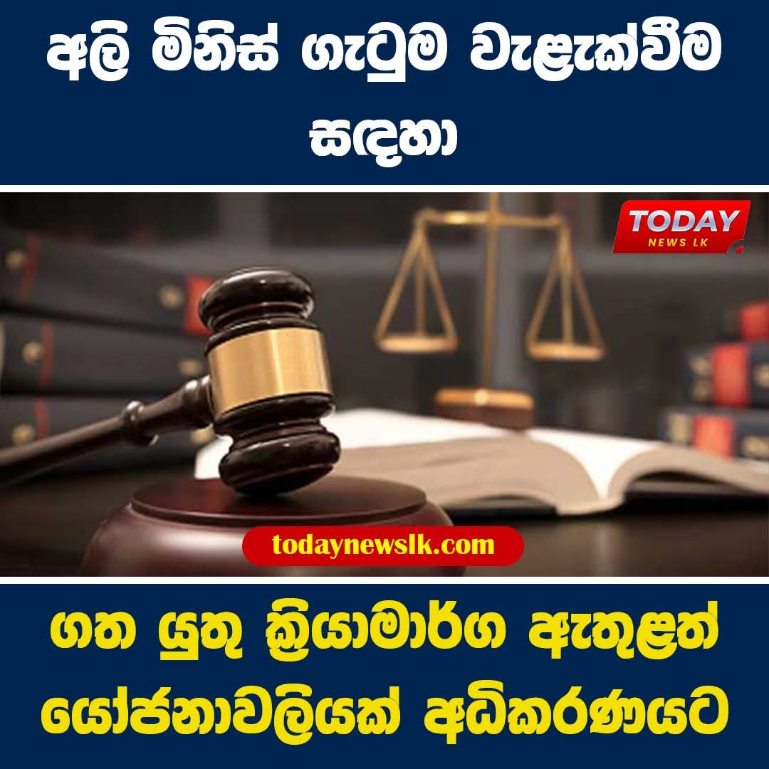 අලි මිනිස් ගැටුම